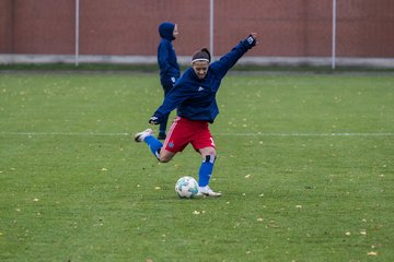 Bild 46 - B-Juniorinnen HSV - VfL Wolfsburg : Ergebnis: 2:1